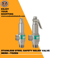 STAINLESS STEEL SAFETY RELIEF VALVE