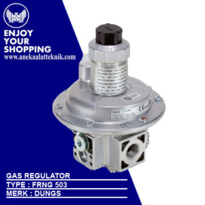 Gas Regulator Dungs Type FRNG 503