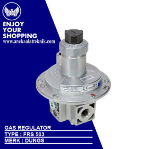 Gas Regulator Dungs Type FRS 503