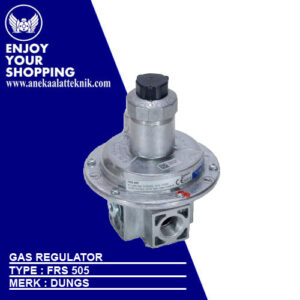 Gas Regulator Dungs Type FRS 505