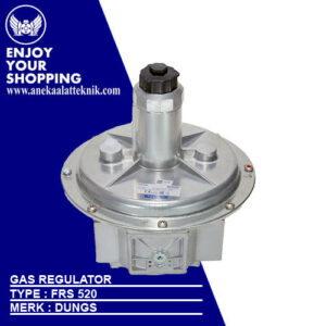 Gas Regulator Dungs Type FRS 520