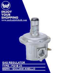 Gas Regulator Giuliani Anello Type FG1B 25