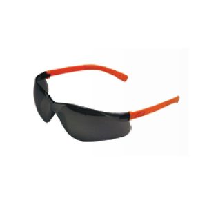 Safety Eyewear Model LP 25