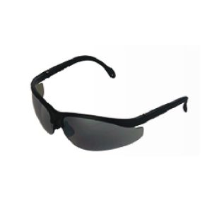 Safety Eyewear Model LP 73
