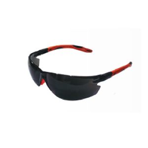 Safety Eyewear Model LP 82
