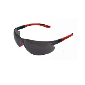 Safety Eyewear Model LP 84
