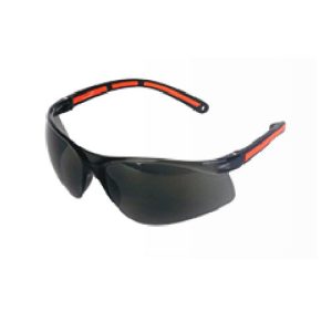 Safety Eyewear Model LP 95