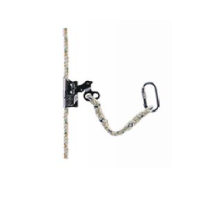Vertical Fall Arrester Leopard