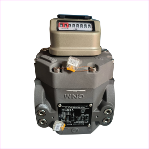 Rotary Gas Meter Merk Cangnan